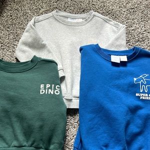 Zara Crewneck Lot